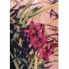 Hemerocallis 'Eenie FanFare' - 3 plants for $19.80
